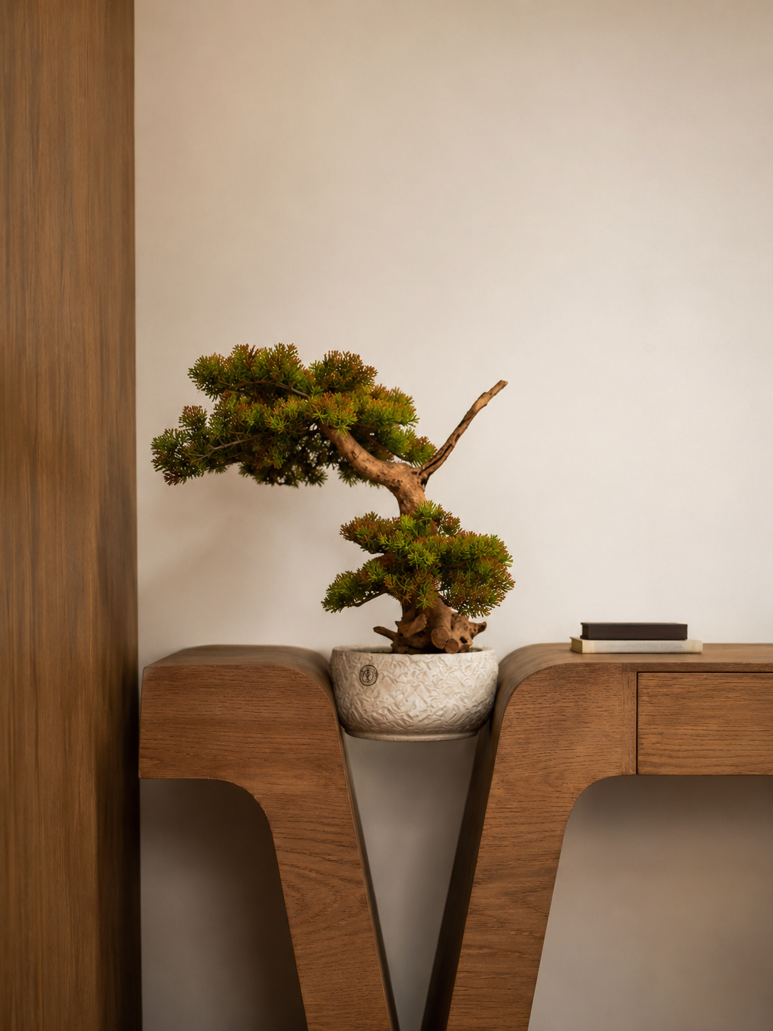 Bonsai console